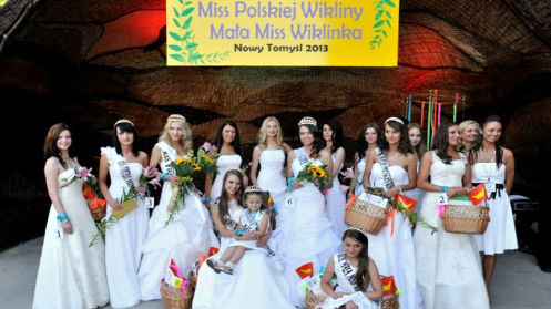 mis wikliny1